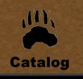 Catalog of Wood Bear Carvings